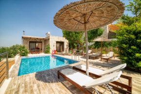 Luxury villa Taf - Olive luxury villas